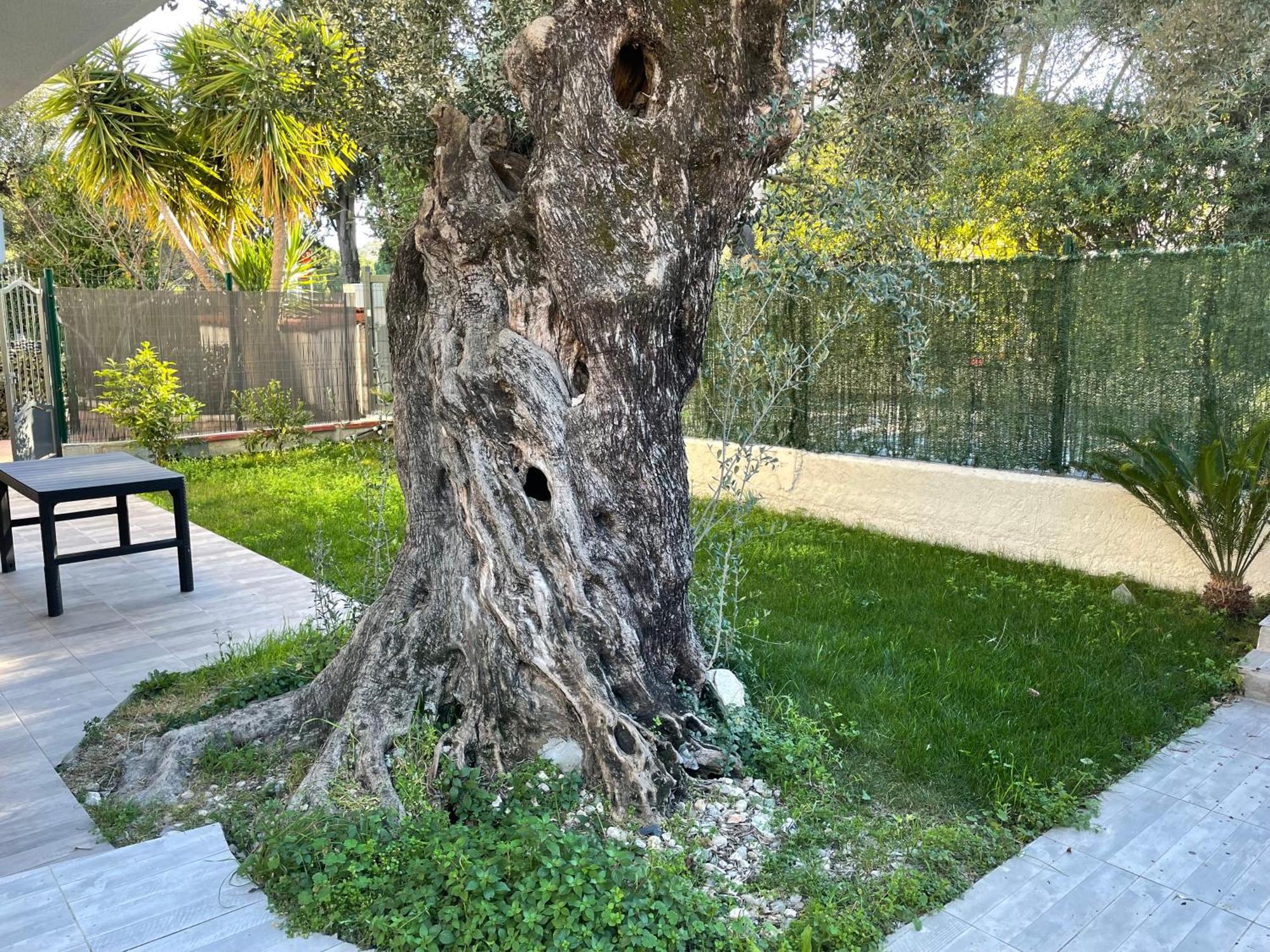Joli Rez De Jardin 4 Pieces A Cagnes Sur Mer 외부 사진